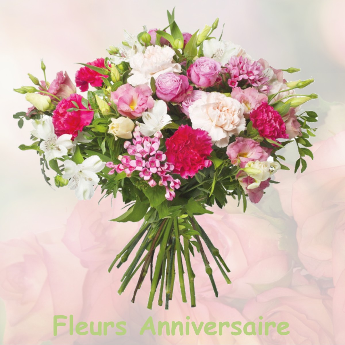 fleurs anniversaire BELLEYDOUX